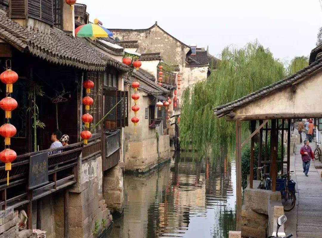 拯救红松鼠